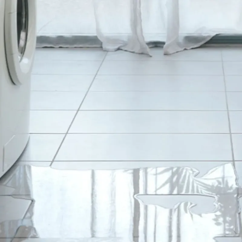 Appliance Leak Cleanup in Bay County, MI