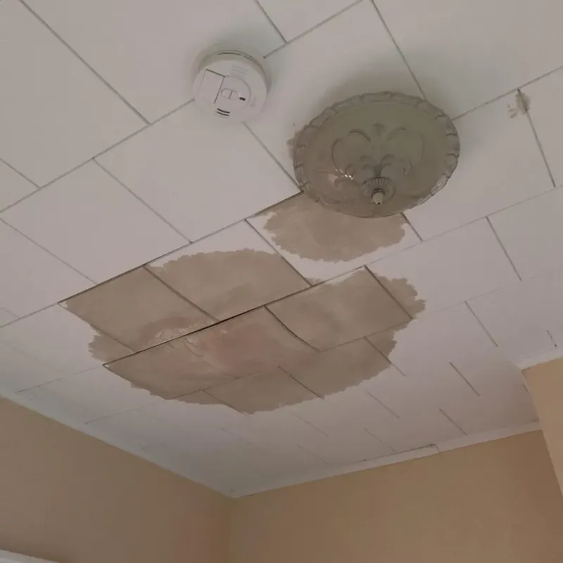Ceiling Water Damage Repair in Bay County, MI