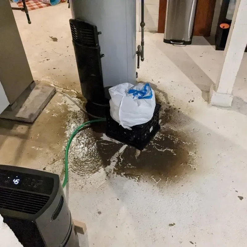 Sewage Backup Cleanup Service in Bay County, MI